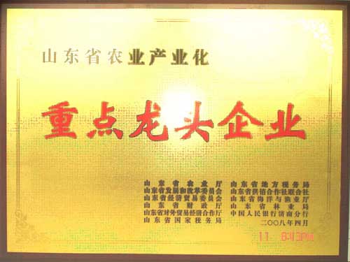 Leading Enterprise of Shandong Province
